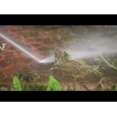 Мойка высокого давления Huter W200i PROFESSIONAL (70/8/41) 