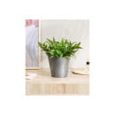 Горшок для орхидей D160 мм, 1,6л с дренажной вставкой (серый) (221608135/02) 