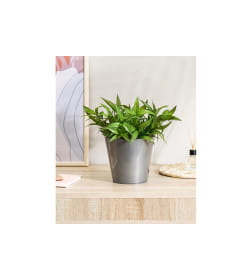 Горшок для орхидей D160 мм, 1,6л с дренажной вставкой (серый)