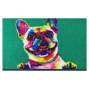 Коврик с жесткой щетиной "Dekorelle" LAPSHA 50x80см арт. 026  (121026) 