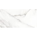 Плитка New Trend Aurea 300х600х9 мм (WT36AUU00) 