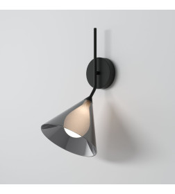 Настенный светильник со стеклянным плафоном 70161/1 черный Eurosvet