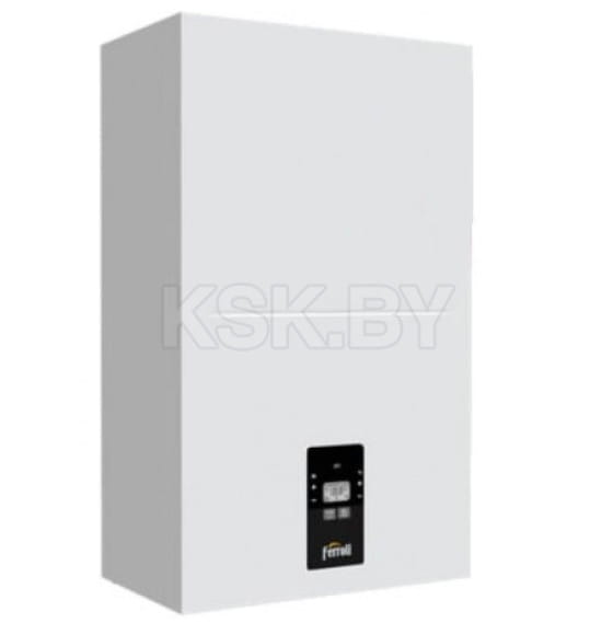 Электрический котел Ferroli Tor 24 (GCJO60YA) 