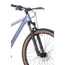 Велосипед Aspect Cobalt Expert 29 L (20"), Серый (4640258344226) 