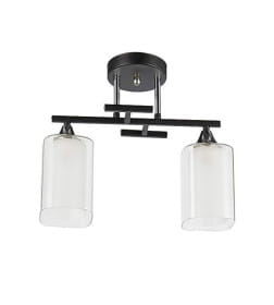 Светильник НПБ 02-2х60-101 5019/2 черный/хром