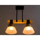 Светильник НПБ 02-2х60-101 C1268/2 черный (C1268/2) 