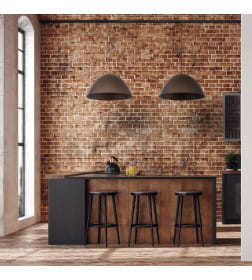 Подвесной светильник 4509 Faro TK Lighting