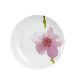 Набор тарелок "Water Color" (6пр.) E4897 J1331 07965 Q1552 десерт.