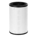 Фильтр Electrolux FAP-2050 ANTI DUST (НС-1476970) 