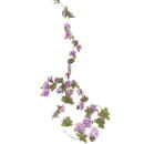 Цветочная гирлянда TM-84 250см (TM-84) 