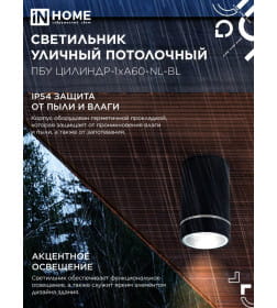 Светильник уличный потолочный ПБУ ЦИЛИНДР-1xА60-NL-BL с подсветкой черный IP54 IN HOME 4690612059143