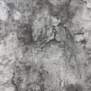 Обои Deco Style LL110204 (LL110204) 