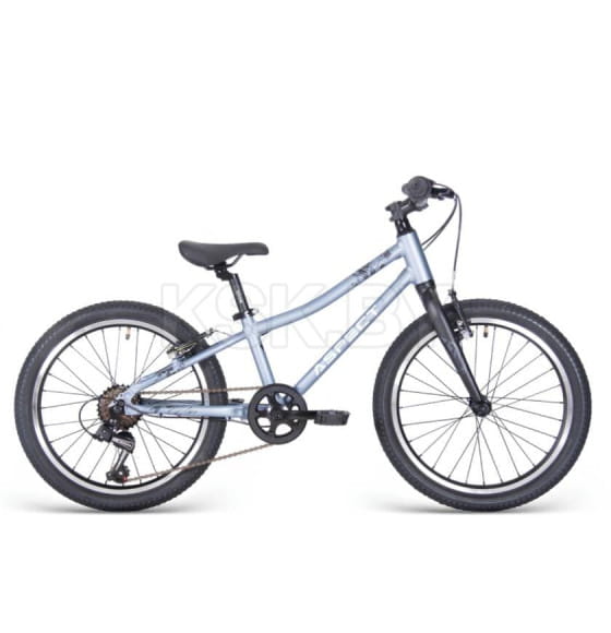 Велосипед Aspect Champion 20", Серый (4640258345001) 