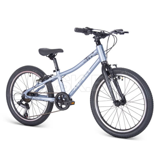 Велосипед Aspect Champion 20", Серый (4640258345001) 