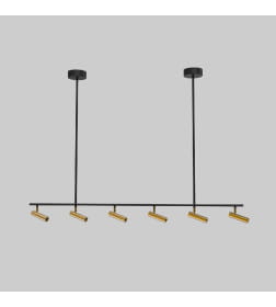 Потолочный светодиодный светильник 20252/6 LED черный/латунь Eurosvet