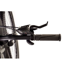 Велосипед FAVORIT BUFFALO-29MDS BUF29MD17BK