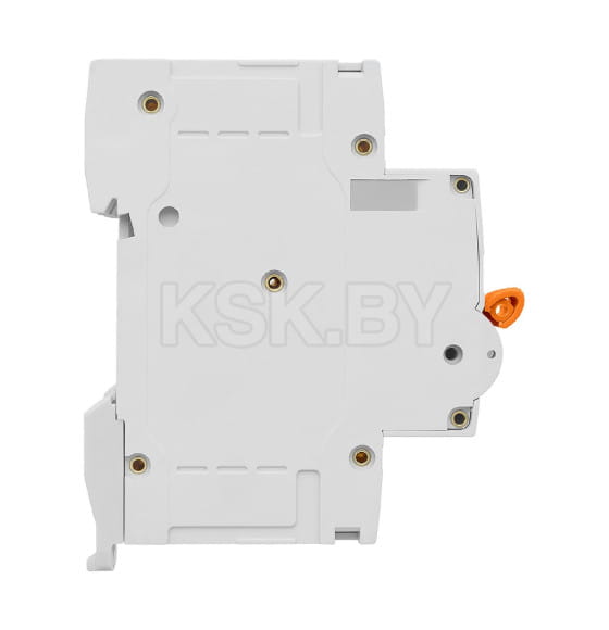 Выключатель автоматический ВА47-60 2Р 4А 6кА х-ка С TDM SQ0223-0087 (SQ0223-0087) 