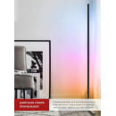 Светильник напольный светодиодный ТСО 01Ч 12Вт RGB, с пультом ДУ, с адаптером черный IN HOME 4690612049212 (4690612049212) 