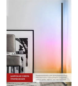 Светильник напольный светодиодный ТСО 01Ч 12Вт RGB, с пультом ДУ, с адаптером черный IN HOME 4690612049212