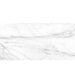 Керамогранит Supreme SM01 Platinum неполированный 600х1200x10 мм.