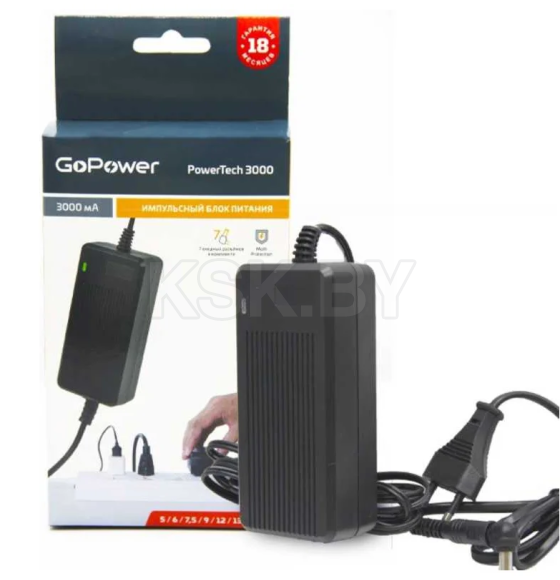 Блок питания универсальный импульсный GoPower PowerTech 3000 00-00015338 (00-00015338) 