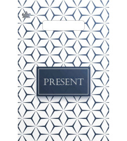 Пакет с ручками с ручками "Презент стиль" 30х20см, 30мкм н00229623