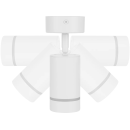 Светильник-спот поворотный LED, 7 Вт, 230 В, 50 Гц, 4000К, IP20, "Вероника", белый, TDM SQ0356-0420 (SQ0356-0420) 