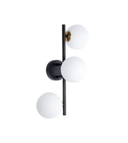 Светильник настенно-потолочный Arte Lamp GEMINI A2243PL-3BK