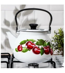Чайник сферический КМЗ (3,5л) 42104-132/6 Вишневый сад бел.