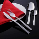 Набор столовых приборов Нытва (24пр.) "Астра" (М20) (карт. кор.) (58772) 