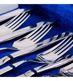 Набор столовых приборов Нытва (24пр.) "Астра" (М20) (подар. кор.)