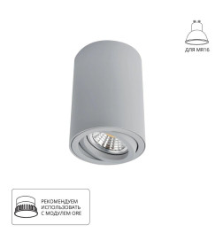 Светильник точечный накладной Arte Lamp SENTRY A1560PL-1GY