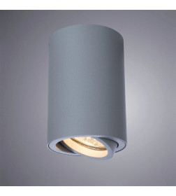 Светильник точечный накладной Arte Lamp SENTRY A1560PL-1GY