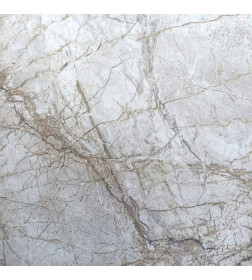 Керамогранит  VE-652 veins 600х600х10,5мм 