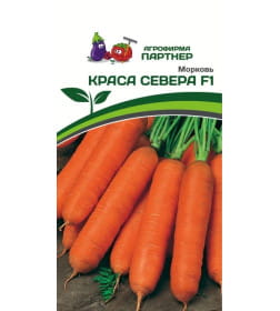 Семена Морковь КРАСА СЕВЕРА F1 (0,5г) 