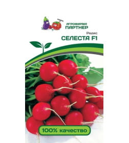 Редис СЕЛЕСТА F1 (1г) 