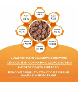 Корм для кошек с Курицей в соусе ТМ "Kissa" полнорационный (пауч-пакет) 75г