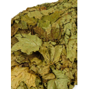 Веник для бани, кленовый (50 х 30 х 6) в пакете 5187144 (5187144) 