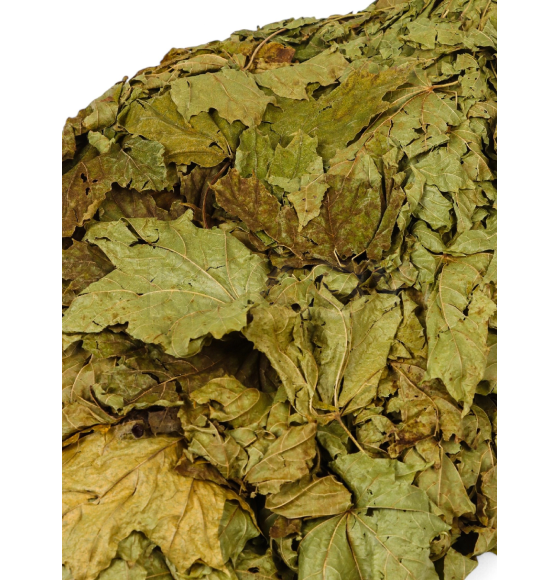 Веник для бани, кленовый (50 х 30 х 6) в пакете 5187144 (5187144) 