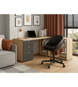 Кресло рабочее ELENA, ECO, черный