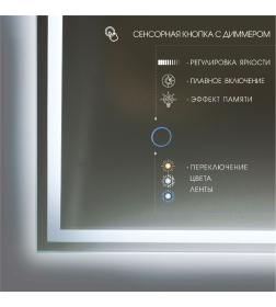 Зеркало Алмаз-Люкс Darwin 80100s-1