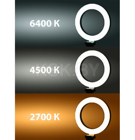 Лампа кольцевая светодиодная 16 см, 6 Вт, 2700-6400 К, штатив настольный, диммер, USB, TDM SQ0373-0301 (SQ0373-0301) 