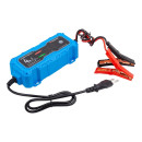 Устройство зарядное импульсное для АКБ Forsage (F-124) 