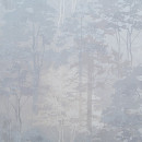 Обои Domingo Форест 11218-03 (11218-03) 