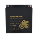 Аккумулятор для мототехники 12V 5Ah GoPower 00-00029098 (00-00029098) 
