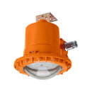 Светильник взрывозащищенный ДСП 47Д-30-101 УХЛ1 1ExdeIICT6Gb TDM SQ0371-0040 (SQ0371-0040) 