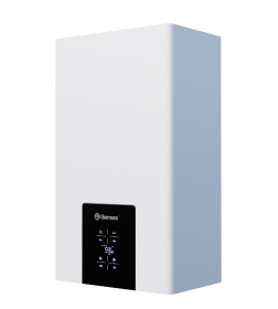 Котёл газовый настенный конвективный Thermex Blaze F24 кВт 2-конт. ТУРБО 435111