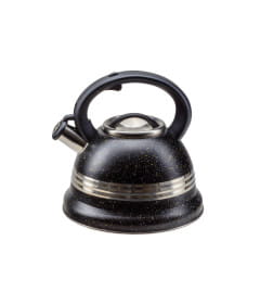 Чайник со свистком 3 л из нержавеющей стали с пластмассовой ручкой (T-731B, код 108070)