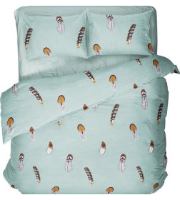 Комплект постельного белья "Евро" 70х70 41261/0/647403/457994 К 