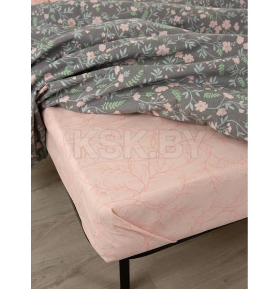 Комплект постельного белья "Евро"50х70 41262/0/606501/593802 К 